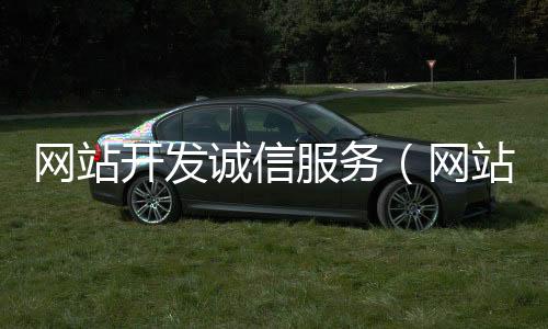 网站开发诚信服务（网站开发诚信服务有哪些）