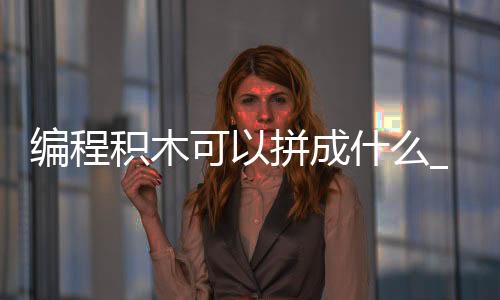 编程积木可以拼成什么_(编程积木可以拼成什么图形)