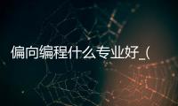 偏向编程什么专业好_(偏移编程方式的优缺点) 