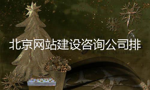 北京网站建设咨询公司排名（北京网站建设公司哪家好）