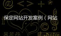 保定网站开发案例（网站开发定制） 