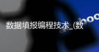 数据填报编程技术_(数据填报编程技术有哪些) 