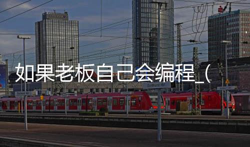 如果老板自己会编程_(如果老板自己会编程怎么办)