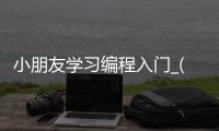 小朋友学习编程入门_(小朋友编程是学些什么东西) 
