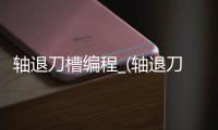轴退刀槽编程_(轴退刀槽尺寸标准表) 